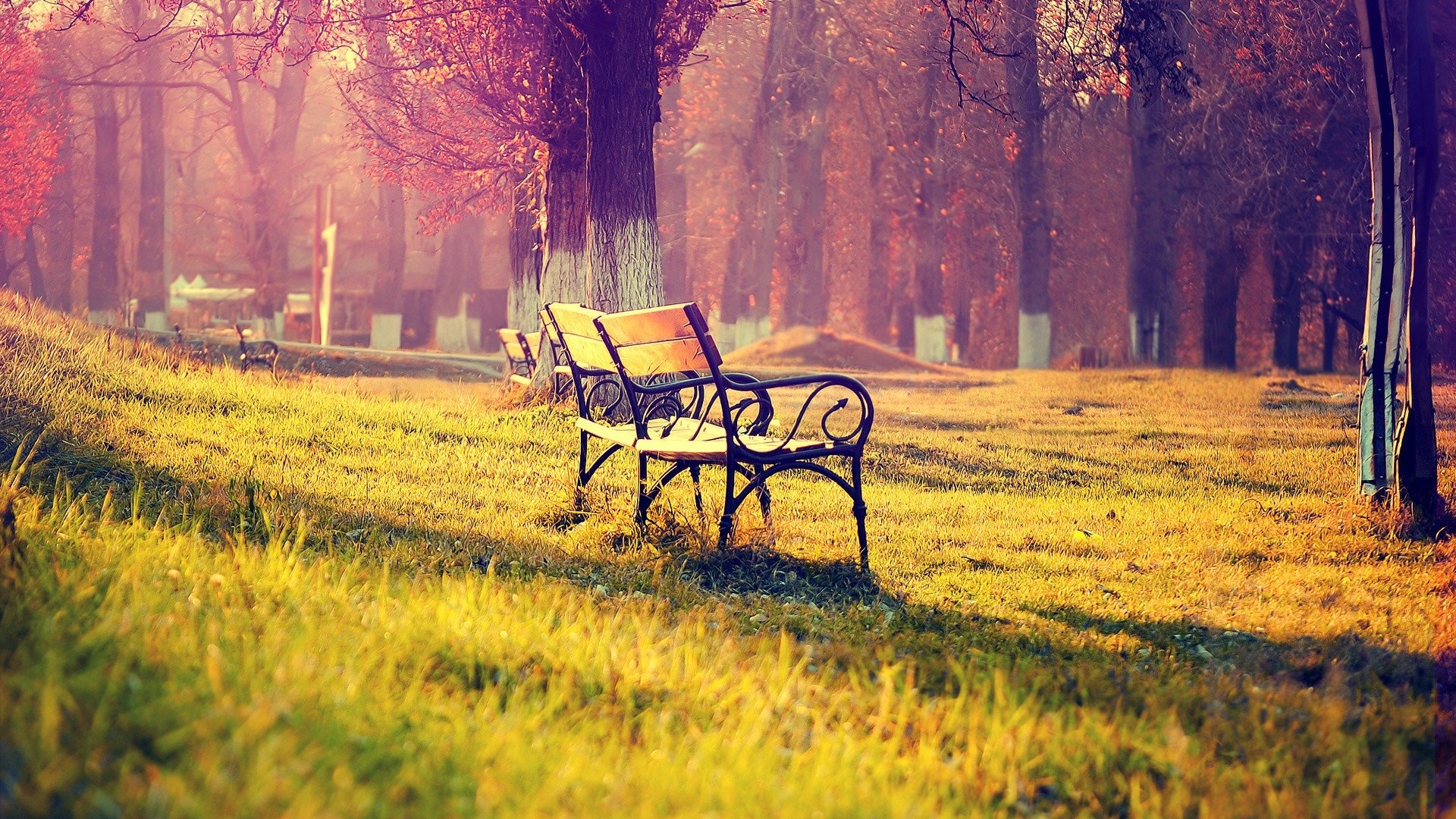 page-header